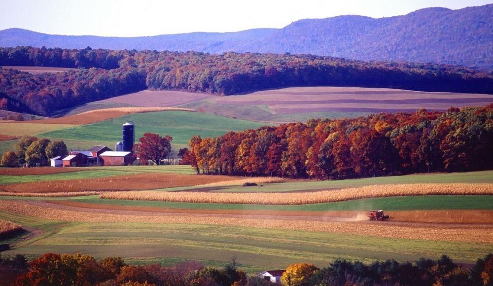 Pennsylvania Land For Sale Zillow