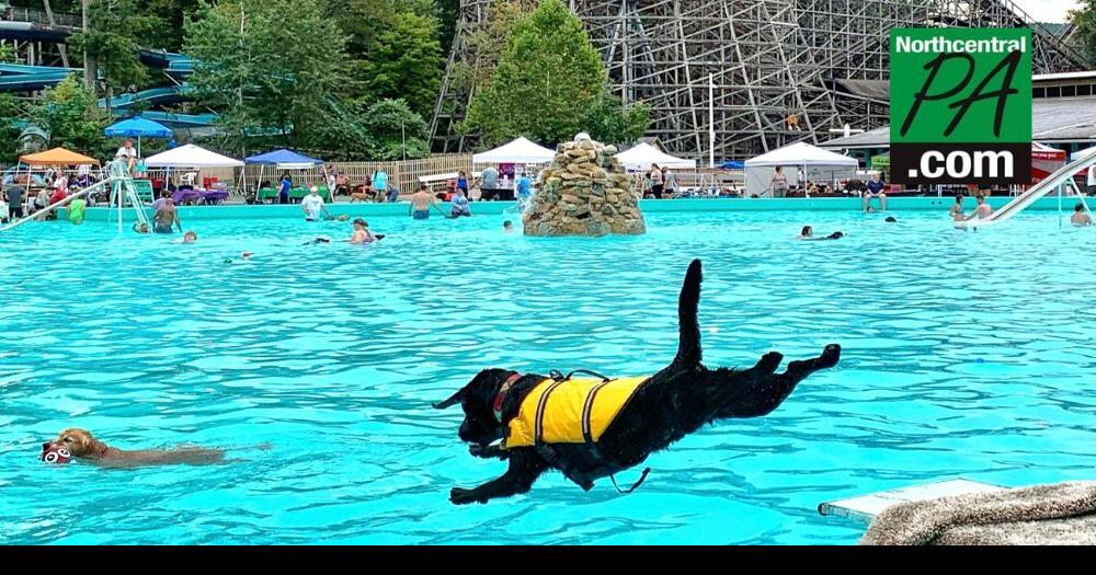 Knoebels to host annual 'Doggie Dive' this weekend News