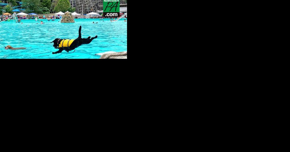 Knoebels to host annual 'Doggie Dive' this weekend - Vimarsana News