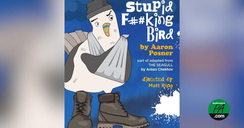 Lycoming College Theatre wraps up season with 'Stupid F##king Bird' - Vimarsana News
