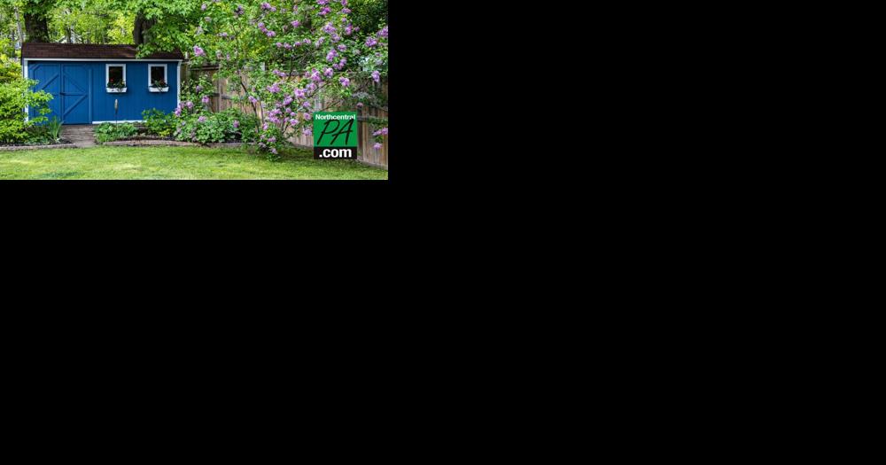 'Elder cottages' offer housing alternative for older adults - Vimarsana News