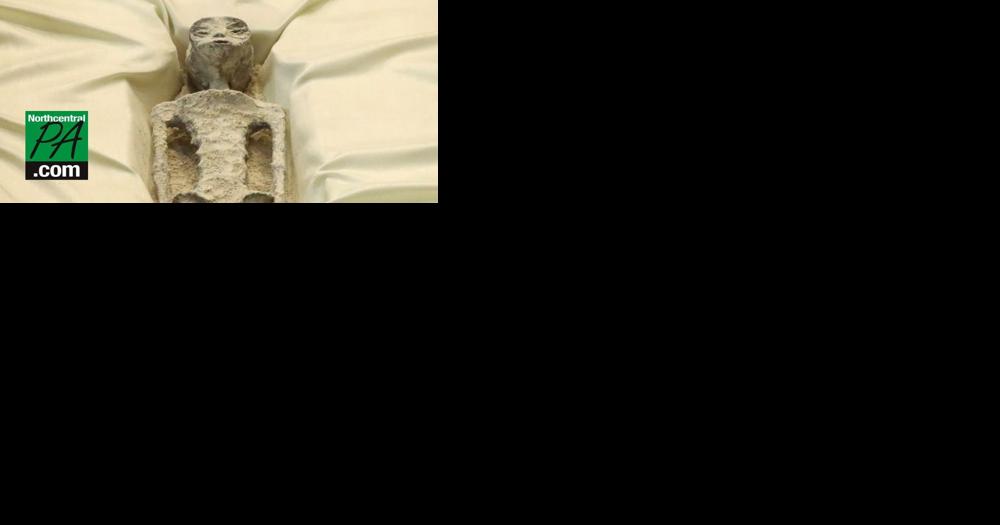 UFO expert displays two 'non-human' alien corpses in front of Mexican government - Vimarsana News
