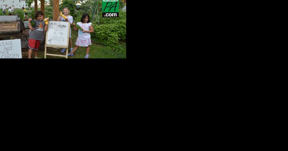 Community garden becomes summer highlight for YMCA day camp kids - Vimarsana News