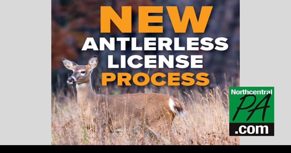Game Commission Antlerless deer licenses sales open in June Life
