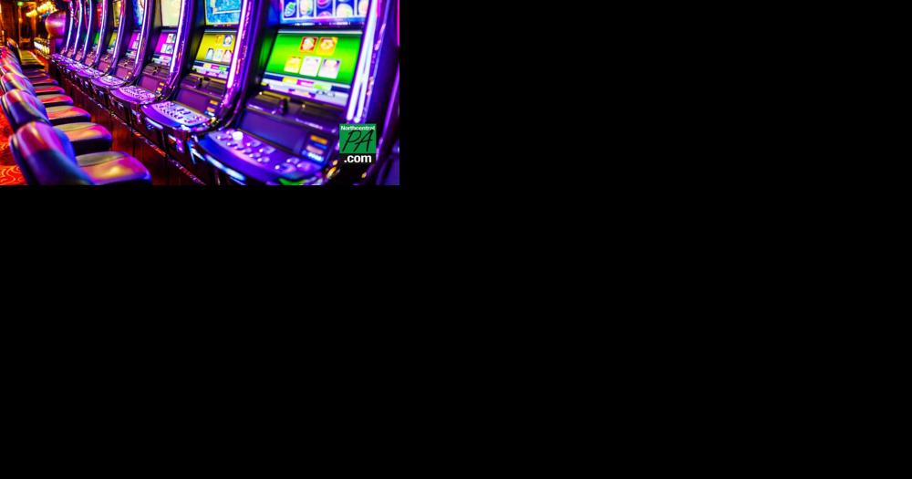 PA gaming board bans several patrons for leaving children in cars - Vimarsana News
