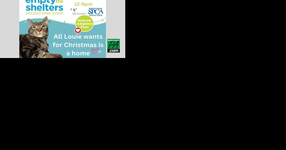 Danville SPCA is waiving adoption fees during this weekend's Holiday Hope event - Vimarsana News
