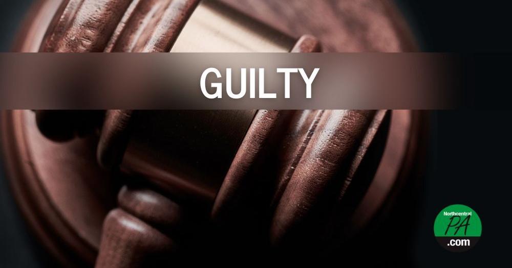Sullivan county parents who refused to call 911 for dying newborn plead guilty - Vimarsana News