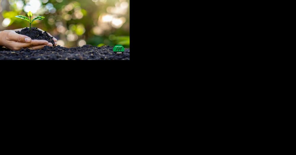 Bloomsburg University to host Earth Day activities - Vimarsana News