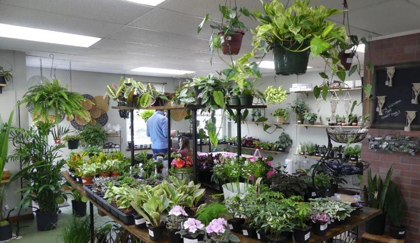 A look inside Selinsgrove's new plant paradise Business
