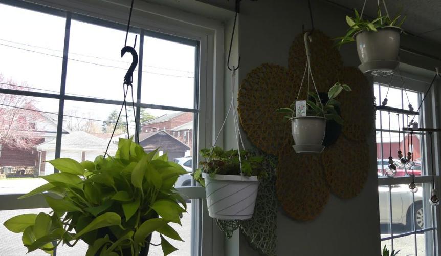 A look inside Selinsgrove's new plant paradise Business