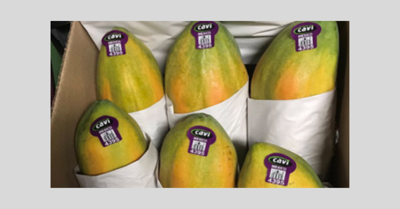 Cavi-brand-papayas_FDA_CDC_2019.jpg