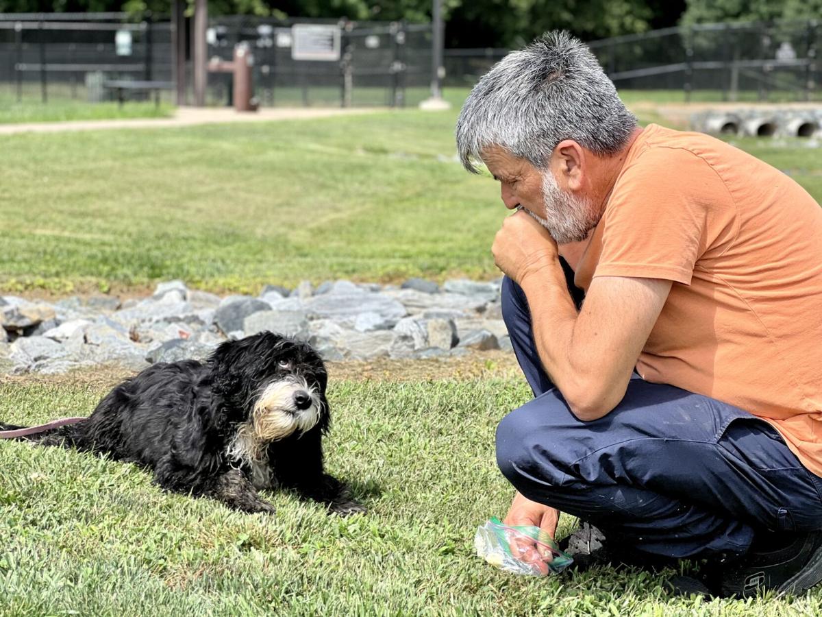 Lewisburg Residents Fight Extinction Of Rare Dog Breed Life Northcentralpa Com Lewisburg Residents Fight Extinction Of Rare Dog Breed Life Northcentralpa Com