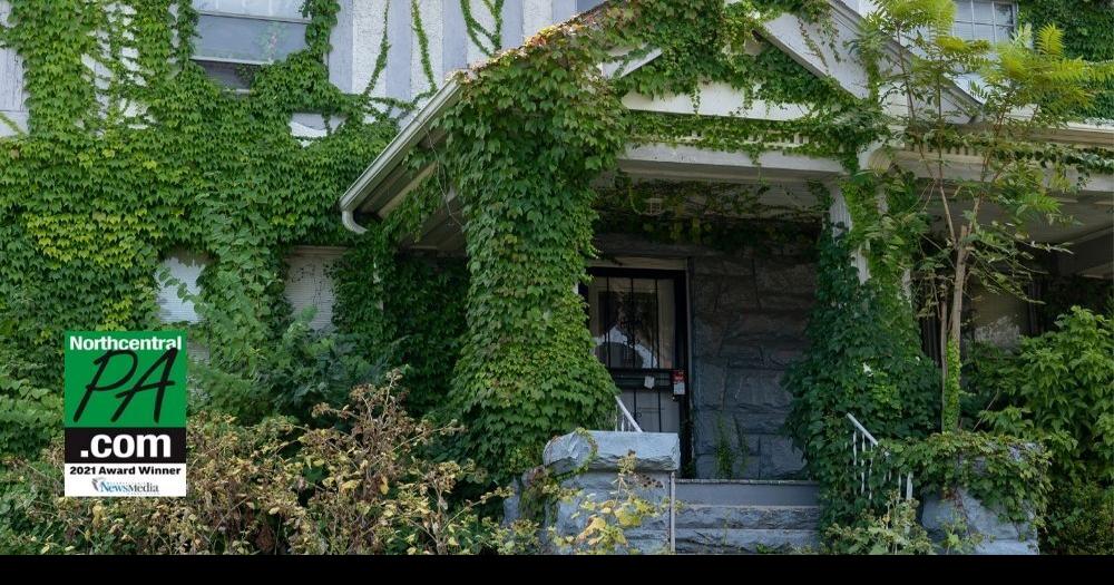 Garden Blight Crossword Fasci Garden