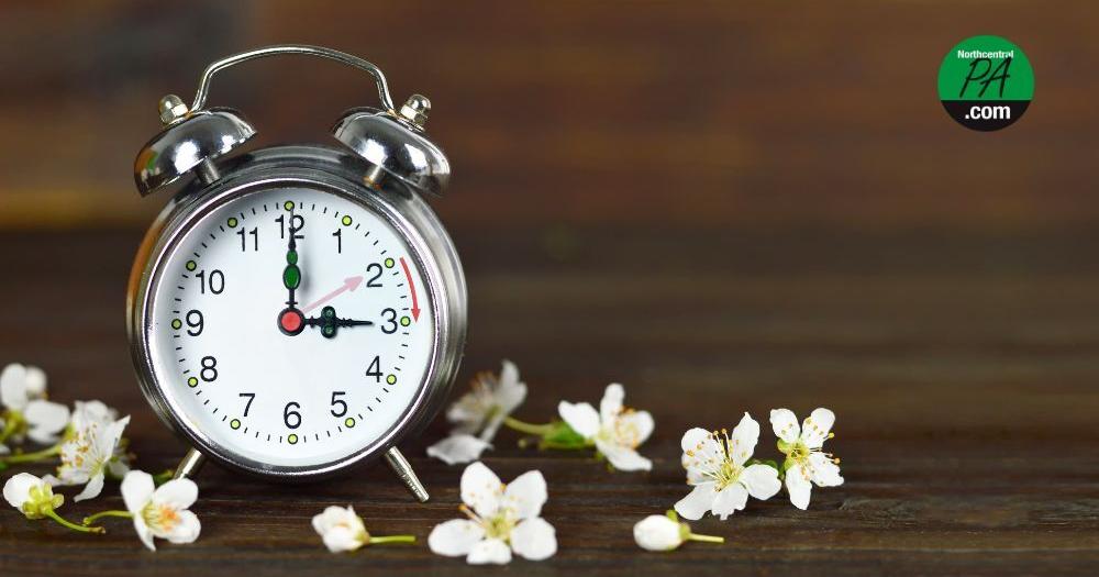 Could the days of 'springing forward' be numbered? | News - Vimarsana News
