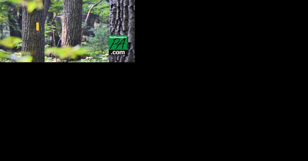 Safely navigating Pennsylvania's Trails: How to read trail blazes - Vimarsana News
