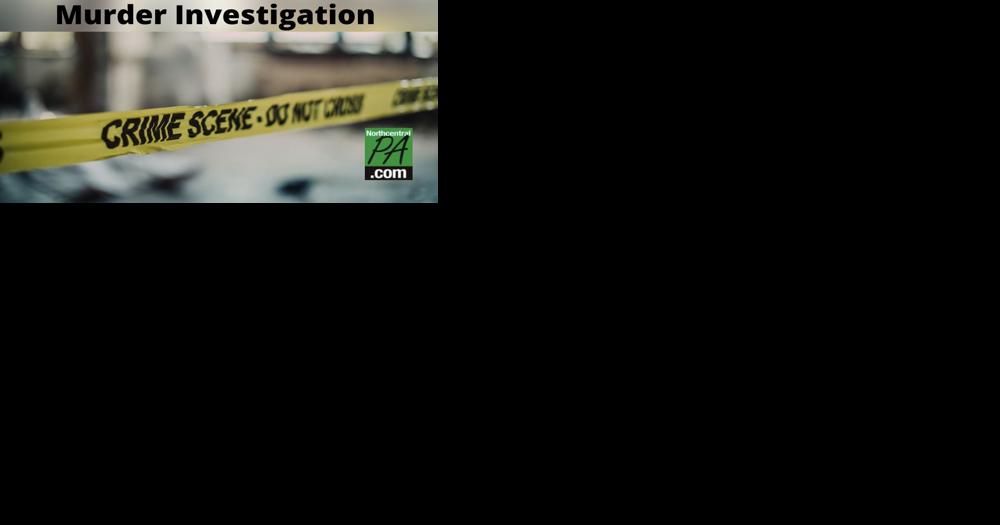 BREAKING: Cable Servies Company, Inc. CEO apprehended in New Jersey for murder - Vimarsana News