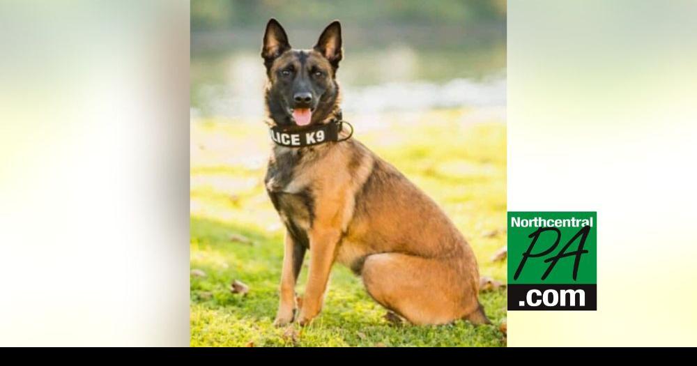 Four legged member of the Watsontown Police Department has last day of