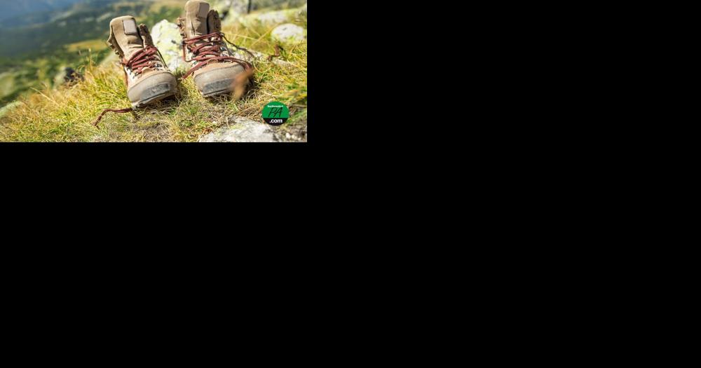 New Jersey man found dead along Appalachian Trail in Pa. - Vimarsana News
