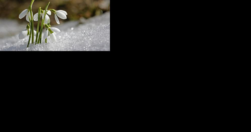 May-like temperatures to blossom in Northeast this week - Vimarsana News