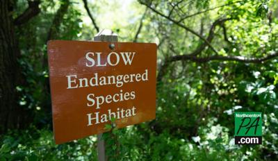 As the Endangered Species Act turns 50, those who first enforced
