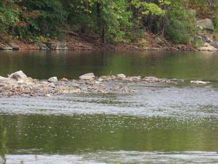 Loyalsock Creek Named PA 2018 River of the Year in Public Vote | Life ...