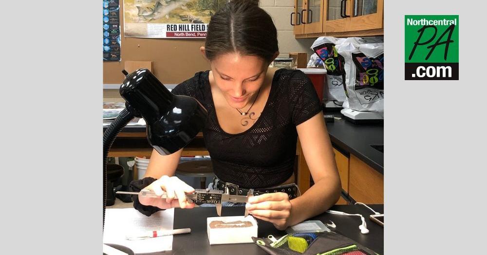 Lycoming College paleontologists uncover 362-million-year-old jaw - Vimarsana News