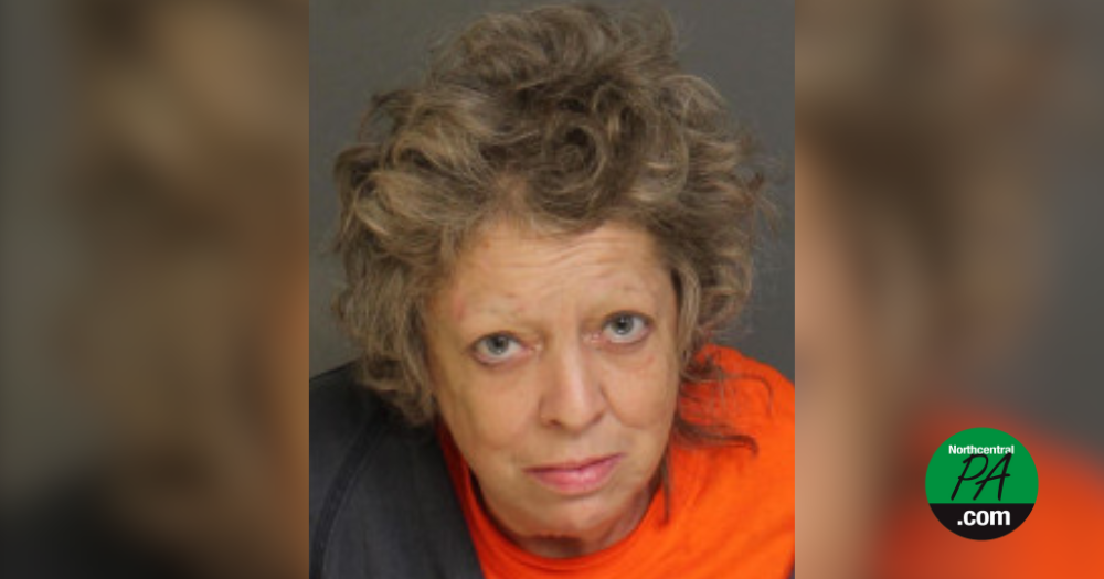 Homeless woman accused of theft, held on bail | News | northcentralpa.com