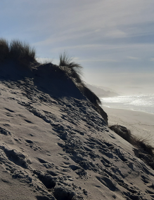 Be Engaged: Oregon’s unique beach and dune environments