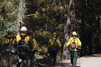Odf Tillamook County Agencies Respond To Fires News Northcoastcitizen Com