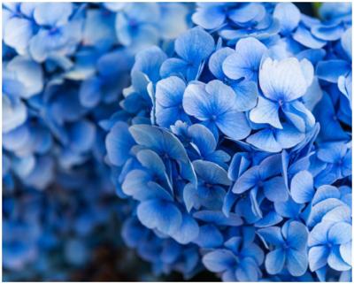Shades Of Blue In 2020 Real Estate Northfulton Com