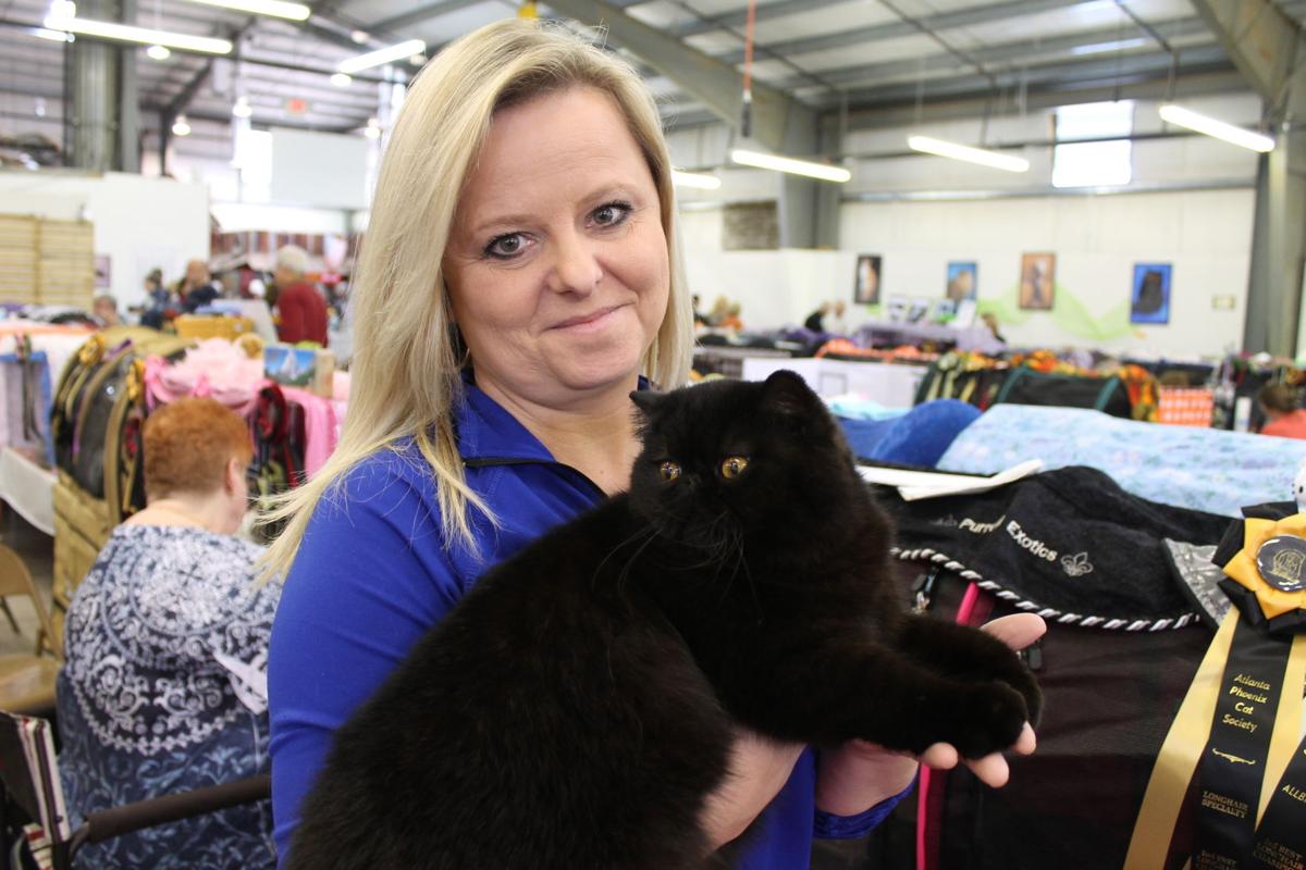 Cat Show Comes To Forsyth Archives Northfulton Com