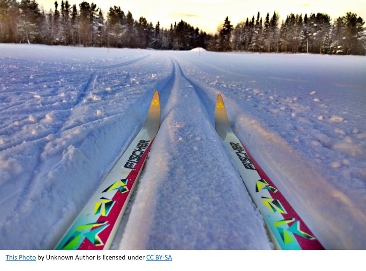 Cross Country Skiing