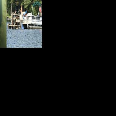 Can Vermont Volunteers Win the War with Invasive Milfoil?