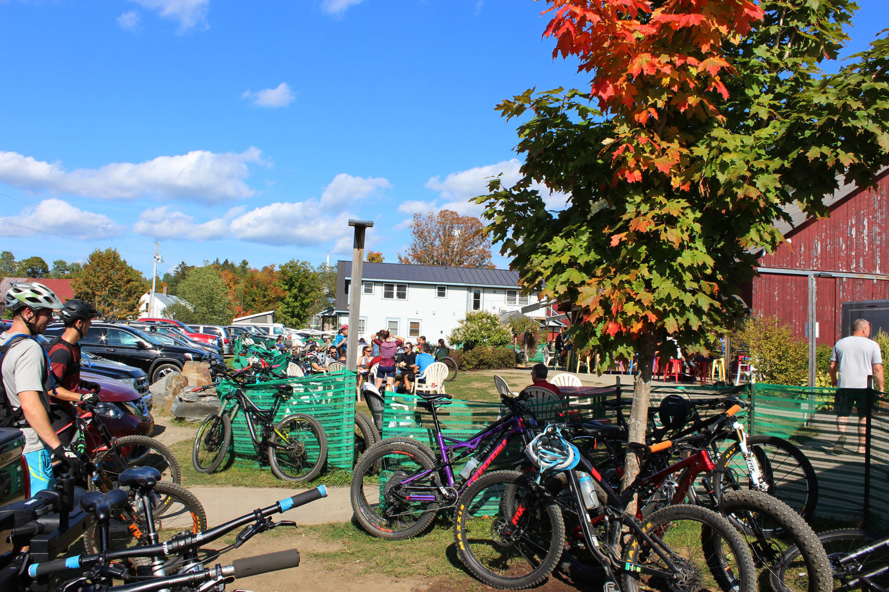 mountain bike kingdom trails