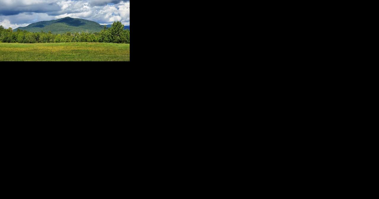 Conservation in Victory to strengthen climate resiliency and support endangered wildlife habitat - Vimarsana News