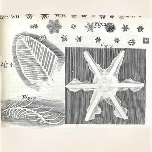 In the bleak mid-winter, the magic of a snowflake | Columns from ...