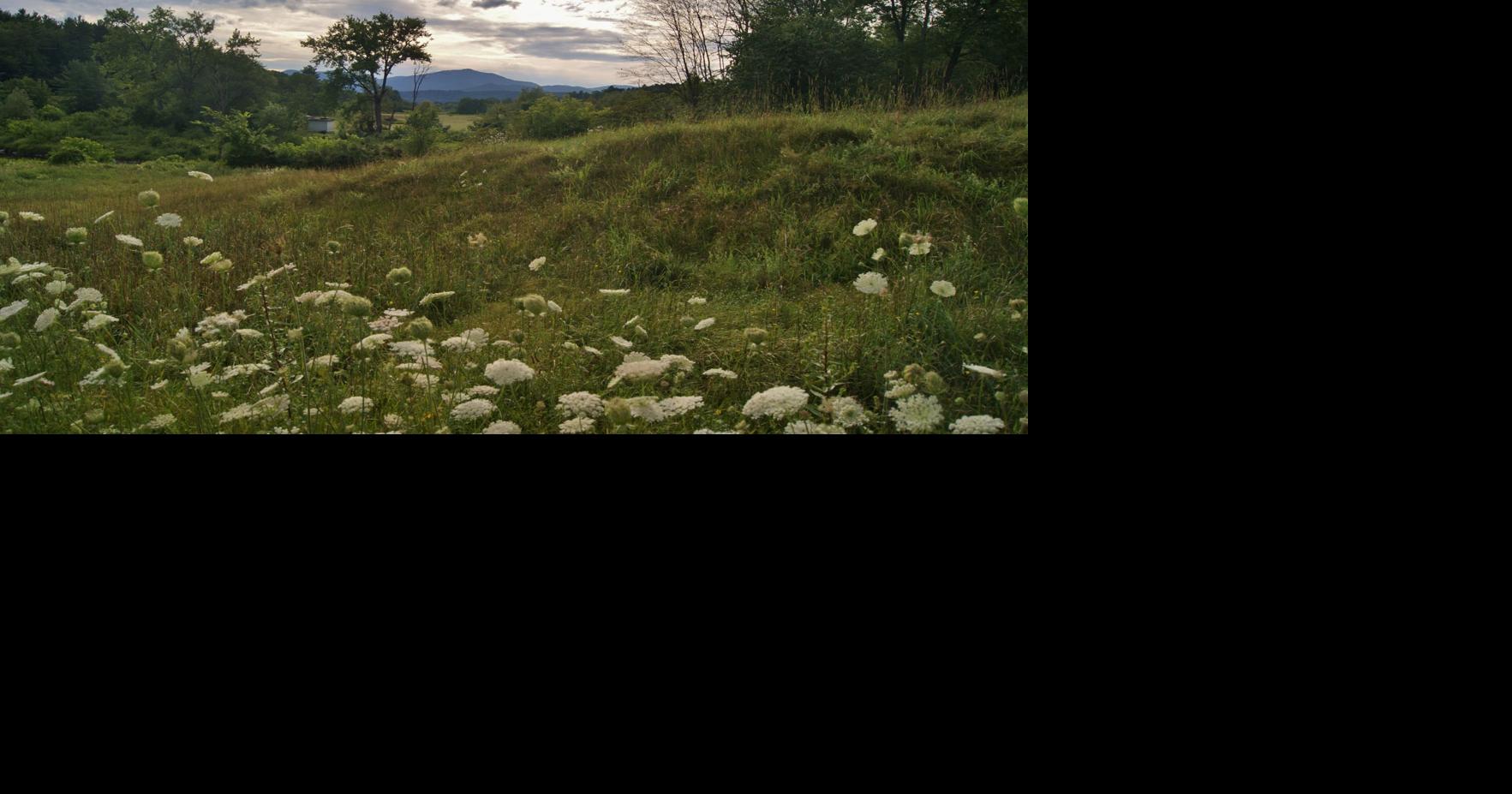 Bloomfield: Where Rivers Meet and Wilderness Begins | Northeast Kingdom ...