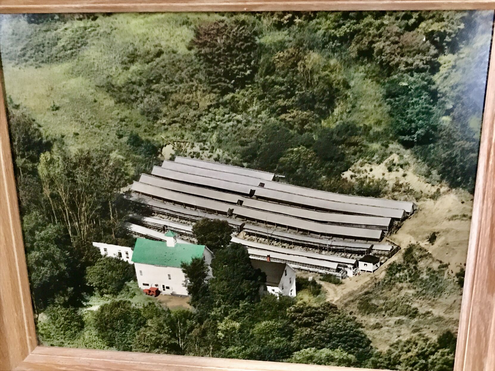 The last mink farm in Vermont - Vimarsana News