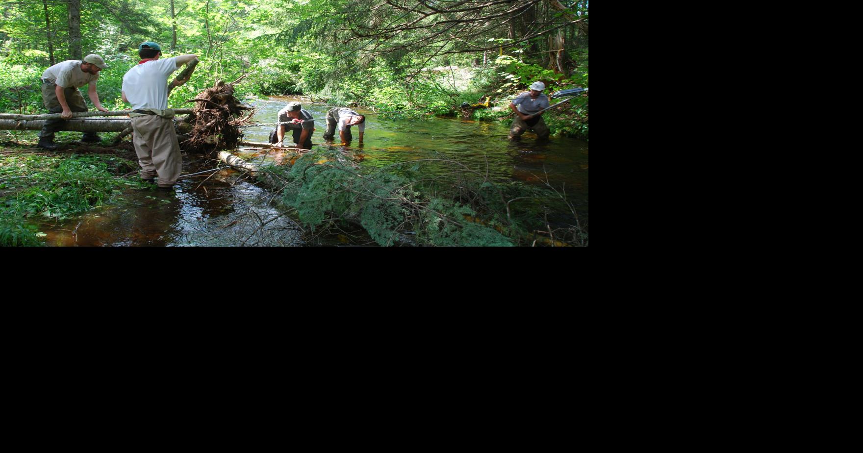Trout Stream habitat improvement in NEK Community News