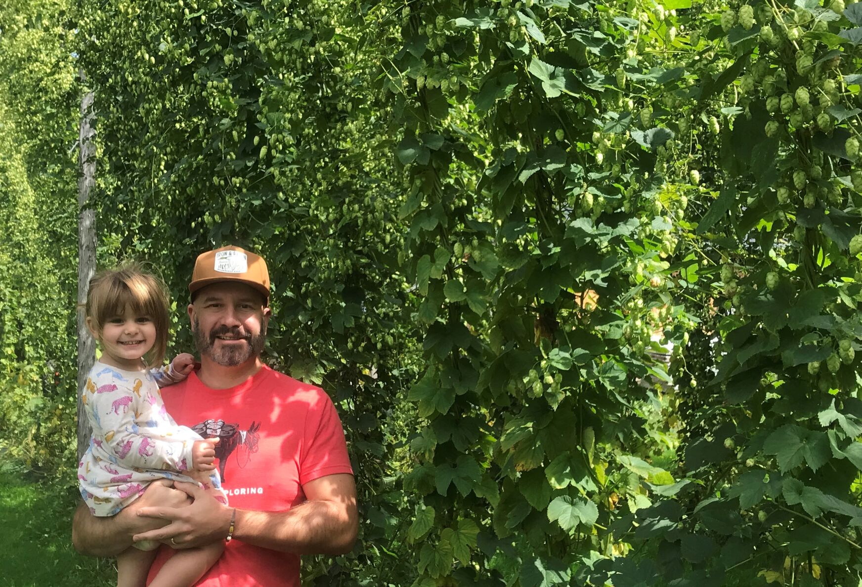 The Special Flavor of Vermont Hops - Vimarsana News