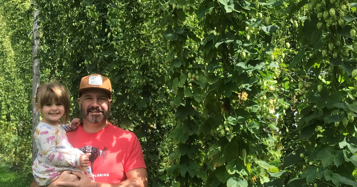 Vermont Hops History: A Once-Lucrative Crop Rediscovered