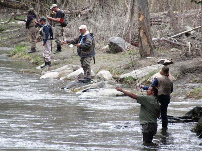 Young woman fly fishes on a river in Central Vermont.