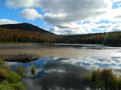 felicia white pond