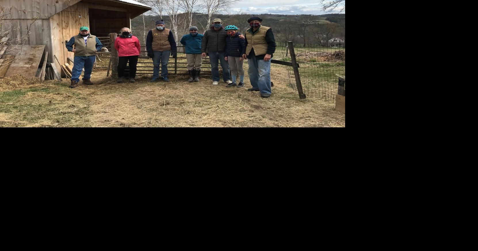 Peacham's David and Marilyn Magnus assemble a crew to help drive their sheep just over a mile from their winter home to fresh spring pasture