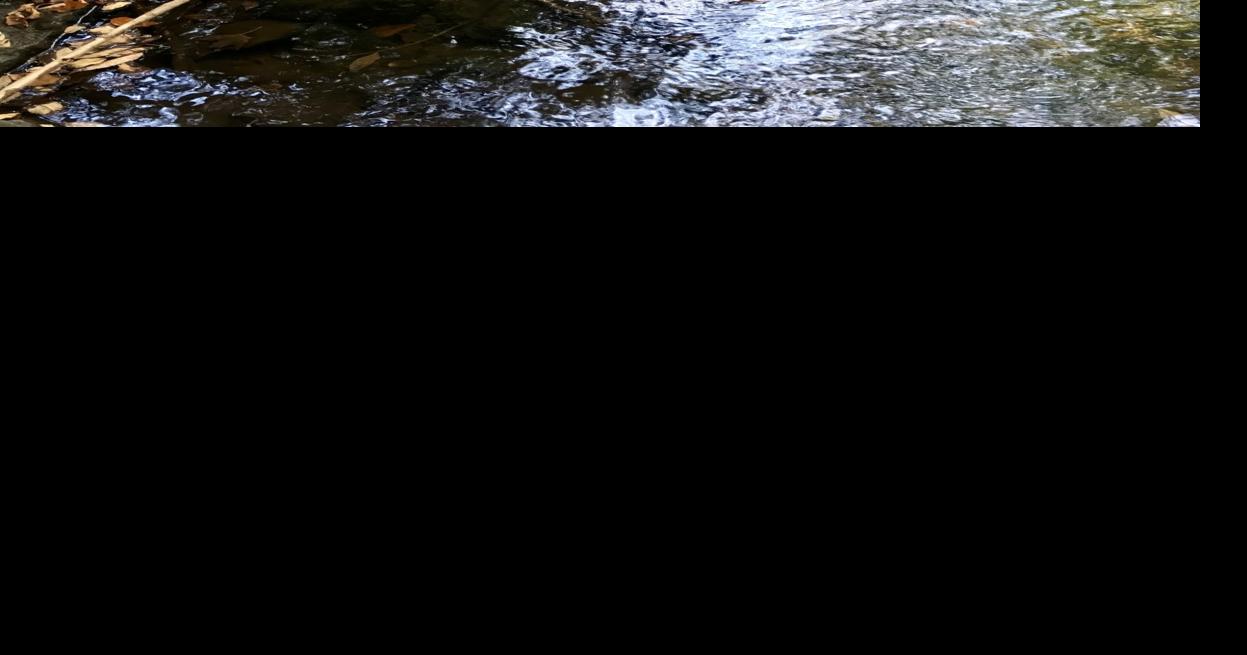 Ewells Mill Historic Park