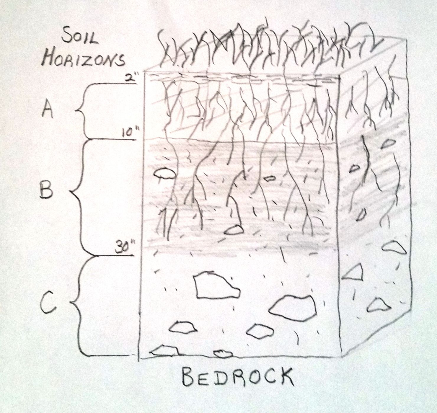 a) Soil profile, Te s t P i t B ( B e l d e r r i g ) photo and... |  Download Scientific Diagram