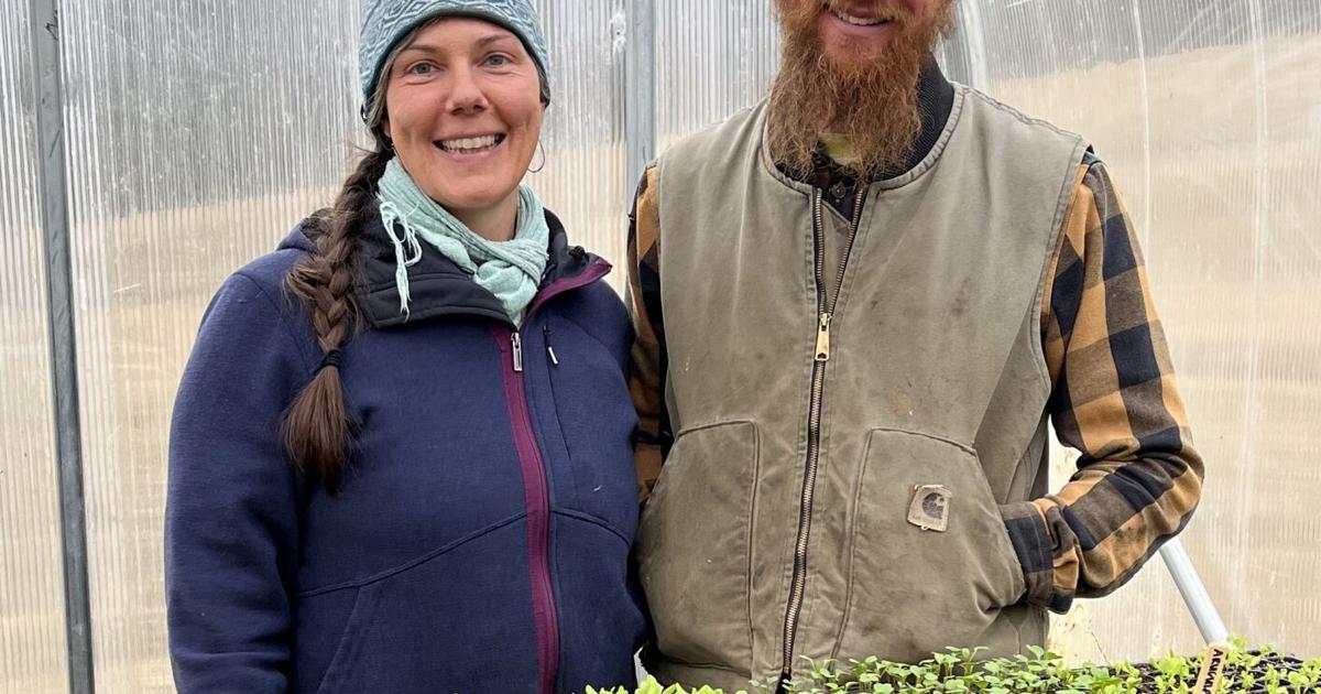 In Barnet, the Riccis are building a life that blends homesteading, heritage, and a whole lot of hens