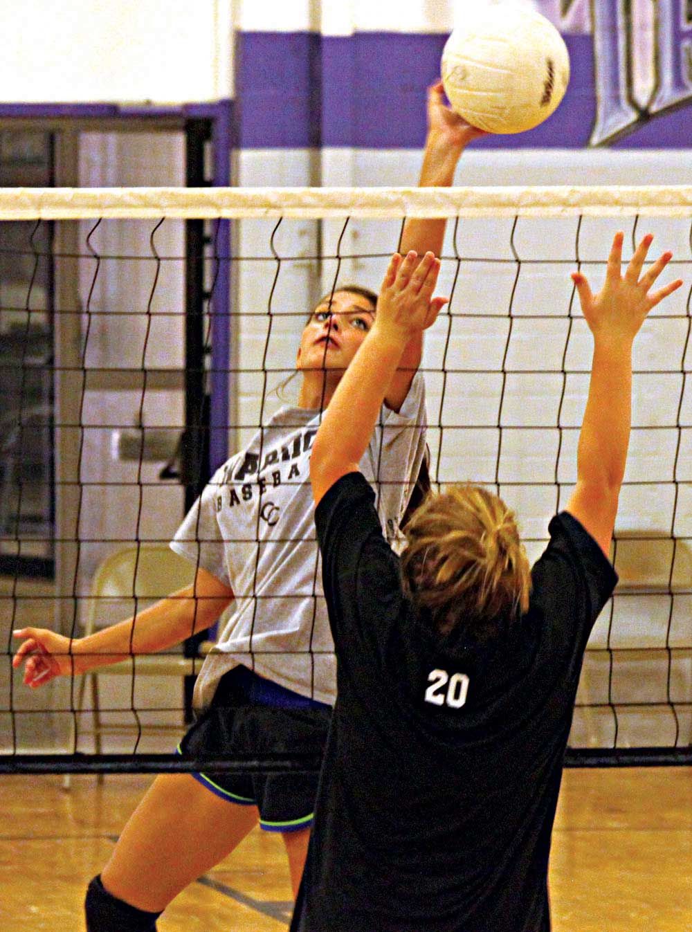 VOLLEYBALL PREVIEW: Hays pulling double duty as new Gaylesville coach ...