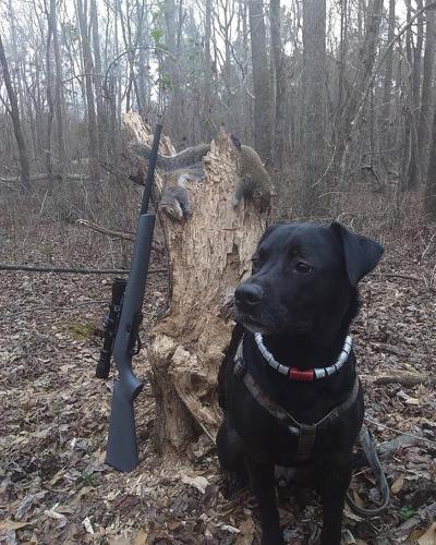 Squirrel hunting season opens Aug. 15