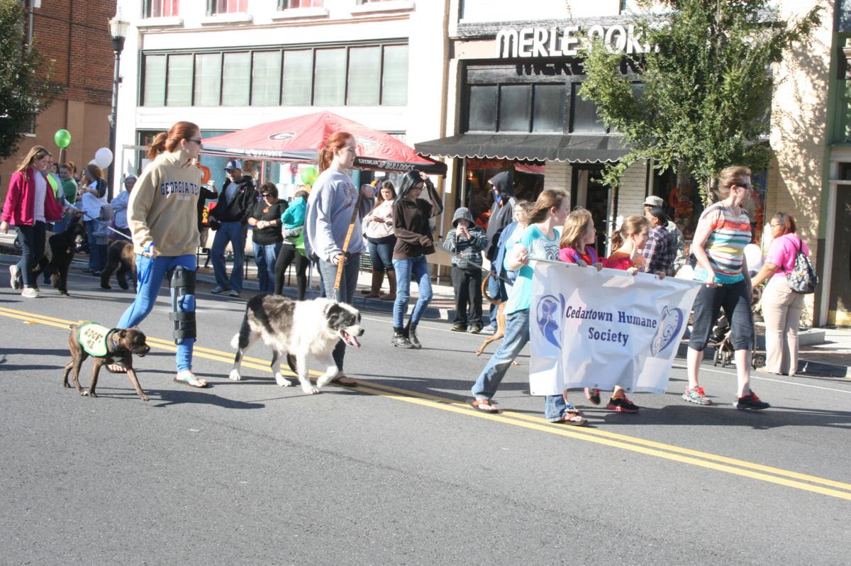 Cedartown Fall Festival 2014 | Multimedia | northwestgeorgianews.com